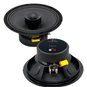 1000 Series 8" - 2 Ohm Pair - PCX810S2